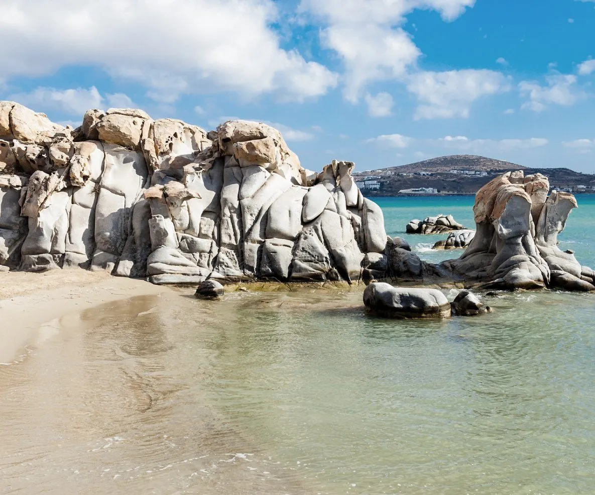 shutterstock_2039937641-1.jpg